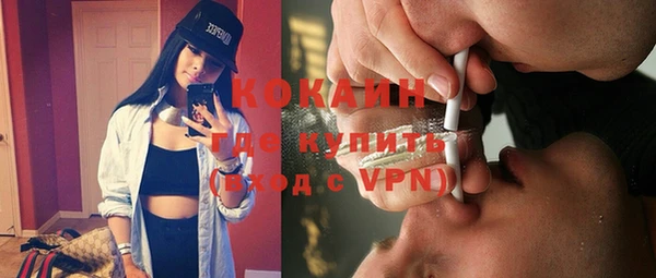 прущие грибы Бородино