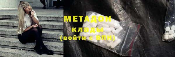 прущие грибы Бородино