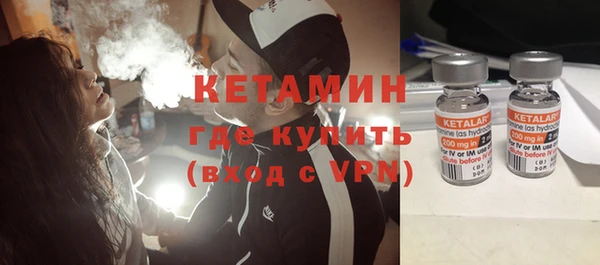 прущие грибы Бородино