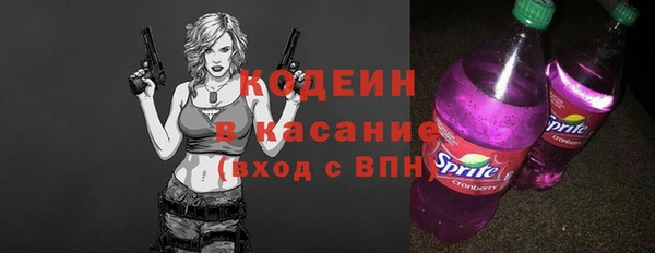 прущие грибы Бородино