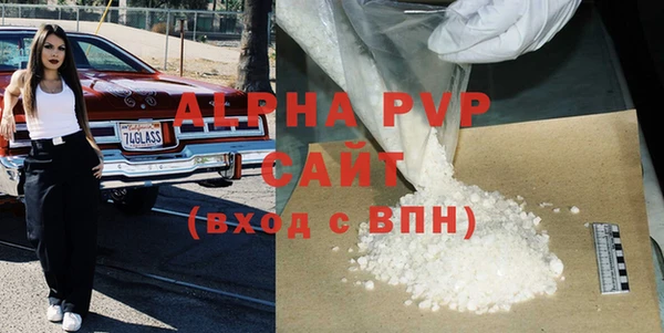 прущие грибы Бородино