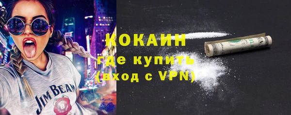 прущие грибы Бородино