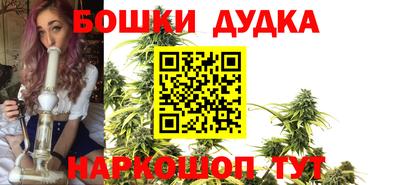 индика Анжеро-Судженск