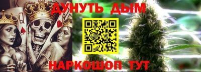 индика Анжеро-Судженск