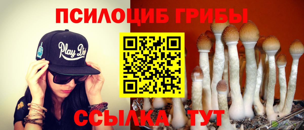 закладки  Галлюциногенные грибы Psilocybine cubensis  Вход с VPN  Валуйки  Галлюциногенные грибы Psilocybine cubensis 